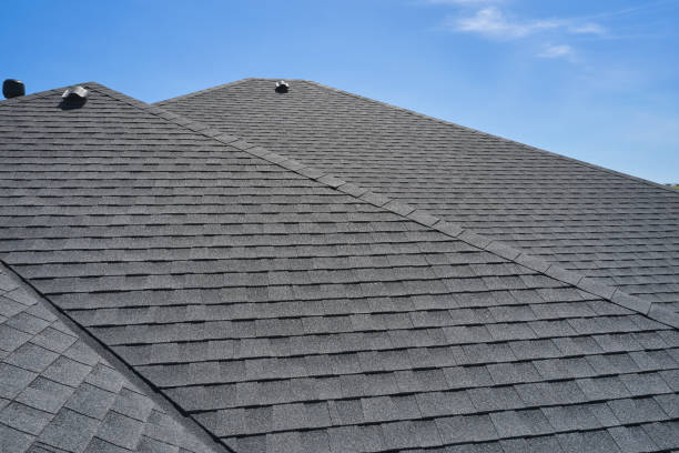 Best Sheet Metal Roofing  in Ellisburg, NJ